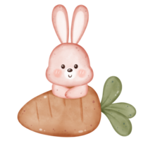 Adorable Rabbit in Playful Poses, Easter Bunny illustration for decoration png