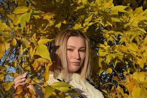 Girl on a background of yellow leaves of autumn trees. Autumn photo session.