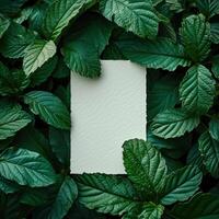 AI generated an empty paper card surrounded by green leaf photo