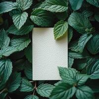 AI generated an empty paper card surrounded by green leaf photo