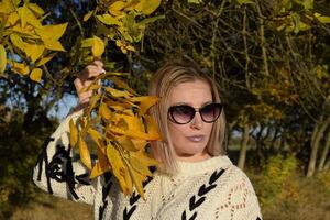 Girl in sunglasses. Girl on a background of yellow leaves of autumn trees. Autumn photo session.