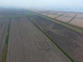 Burning straw in the fields after harvesting wheat crop photo