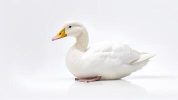 AI generated Animal rights concept elegant white duck minimalist white background. photo