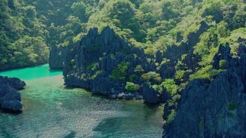 aérien vue de le typique rochers avec des arbres de miniloc île dans le philippines video