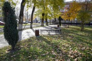 banco en un otoño parque. pavimento de losas y basura poder. foto