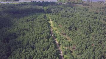 Aerial view camera from green forest of dense mixed tree tops of pine trees and birches. Clip. Aerial view flying over old patched two lane forest road with green trees of dense woods growing both video