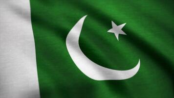 flagga av de pakistan vinka på vind. pakistan flagga animering video
