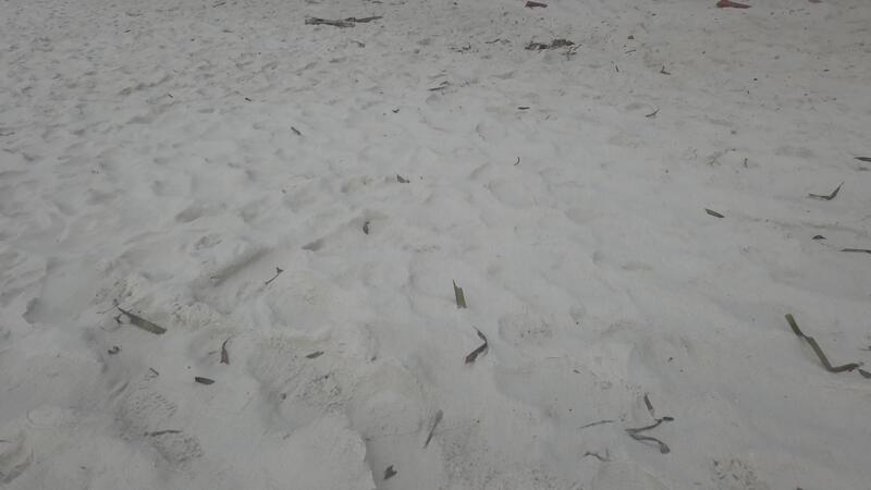 Nahansicht von Strand Sand. Video. Sand Antenne Sicht, Nahansicht 38529397 Stock-Video bei Vecteezy