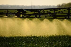 Jets of liquid fertilizer from the tractor sprayer. photo