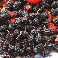 Mulberry with strawberries on a plate. Macro fruit photo