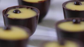 chocolate doces coleção em uma branco fundo. chocolate bombons fechar acima video