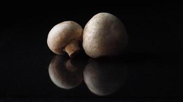 White mushrooms champignons whole on black background. Frame. Champignons on black background. Whole mushrooms rotating on black mirror background video