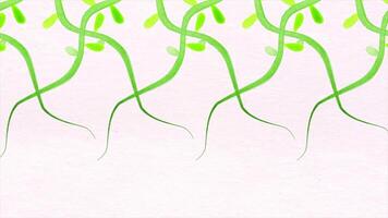 Swirling animation of stylized daisies, spiraling outwards against a pink background. Growing plant animation with their corresponding video