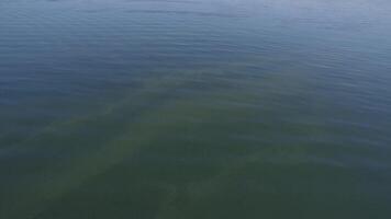 aereo superiore Visualizza acqua superficie sfondo. lago e foresta e montagne nel il distanza aereo Visualizza video