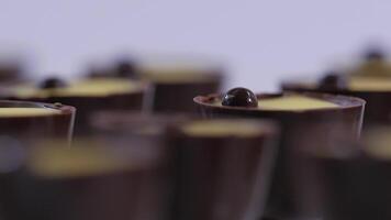 Chocolat bonbons collection sur une blanc Contexte. Chocolat pralines proche en haut video