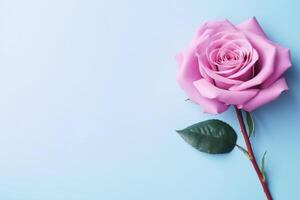 AI generated pink rose on lavender background top view photo