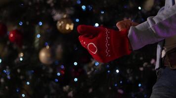 Man puts on a red knitted mittens on hands close-up, fir background video