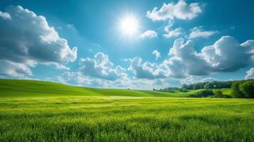 AI generated Beautiful natural background with green field and blue sky photo