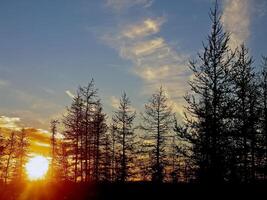 Landscape of the sunset. Beautiful sky. The colors of sunset. photo