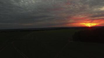 mooi veld- Bij zonsondergang, antenne visie. filmmateriaal. majestueus zonsondergang in de natuur landschap. zomer natuur landschap. dramatisch bewolkt lucht video