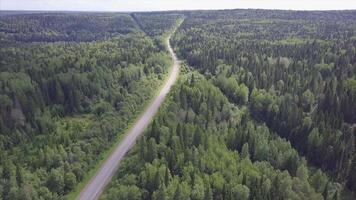 Aerial view camera from green forest of dense mixed tree tops of pine trees and birches. Clip. Aerial view flying over old patched two lane forest road with green trees of dense woods growing both video