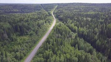 antenne visie camera van groen Woud van dicht gemengd boom tops van pijnboom bomen en berken. klem. antenne visie vliegend over- oud gepatched twee rijbaan Woud weg met groen bomen van dicht bossen groeit beide video