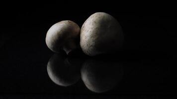 White mushrooms champignons whole on black background. Frame. Champignons on black background. Whole mushrooms rotating on black mirror background video