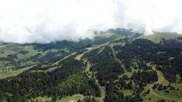 vue de le vallée dans de bonne heure Matin aérien voir. aérien vue drone en volant dans le vallée avec pin arbre forêt dans le Montagne intervalle video