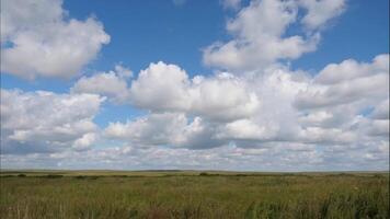 verão panorama com campo do grama, azul céu espaço de tempo. verde Relva campo panorama com fantástico nuvens dentro a fundo. ótimo verão panorama. espaço de tempo video