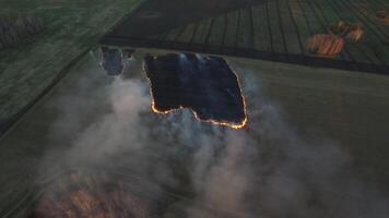 Antenne Aussicht von Drohne Farmer Verbrennung trocken Gras beim Sonnenuntergang Zeit, Himmel Landschaft. Filmaufnahme. Feuer im ein Feld Antenne Sicht. Feuer auf Herbst Felder video