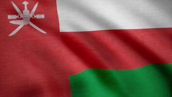 Omã bandeira. bandeira do Omã acenando dentro a vento. desatado looping animação video
