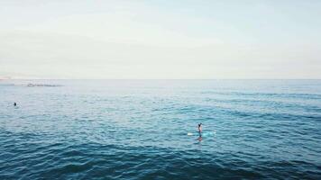 el tablista paseos y nada en el tablero diseccionar el olas de el océano. existencias. parte superior ver de un hombre montando en un tablero en el olas video