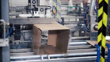 Cardboard package box packing machine. Clip. Box forming production line video