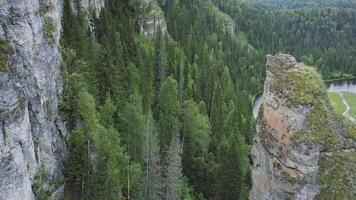 schön Berg Achtung hoch auf das Berge. Clip. enorm Senke mit dick Eukalyptus Wald. oben Aussicht von ein groß Cliff im das Wald video