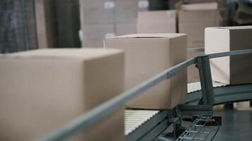 Cardboard boxes on conveyor belt in factory. Clip. Production line on which the boxes move video