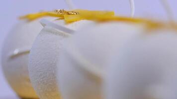 velours gâteau des balles avec sucre arrose. blanc, en forme de boule Gâteaux. décoratif blanc Gâteaux, fermer video