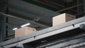 Automation - Cardboard boxes on conveyor belt in factory. Clip. Boxes moving on the conveyor at the factory video