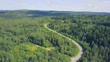 Antenne Aussicht von ein Straße im Herbst umgeben durch Kiefer Baum Wald. Clip. oben Aussicht von das Straße im das Wald video