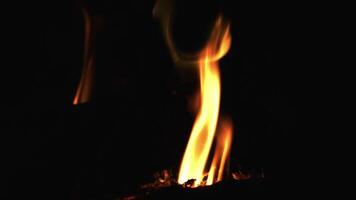 fechar-se do queimando vermelho fogo madeira em Preto fundo. queimando lenha dentro a lareira. video
