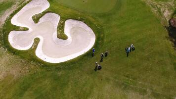 Aerial view of golfers playing on putting green. Professional players on a green golf course. video