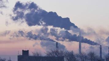 Rauchen Fabrik Schornsteine. Umwelt Problem von Verschmutzung von Umgebung und Luft im groß Städte. Aussicht von groß Pflanze mit Rauchen Rohre. Zeitraffer video