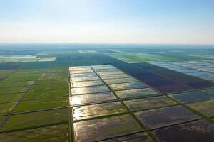 The rice fields are flooded with water. Landscape in front of the sun. Flooded rice paddies. Agronomic methods of growing rice in the fields. photo