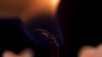 Close up detail of white wax lit candle flame and wick on isolated black background. andle lights macro. closeup of burning candle isolated on black background one flame at night macro brightly in video