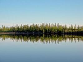 River landscape. Northern reindeer in summer forest. The sky, gr photo