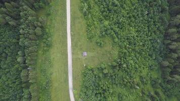 strada attraversamento foresta e roccia formazioni. clip. superiore Visualizza di il strada vicino foresta su un' soleggiato giorno video