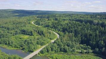 Aerial view of a road in autumn surrounded by pine tree forest. Clip. Top view of the road in the forest video