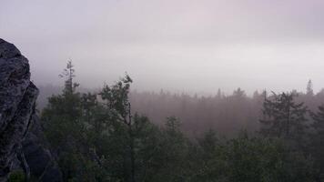 Extérieur Naturel paysage perspective. massif rochers et vue à le vallée pendant été temps. vue de le rochers de le forêt video