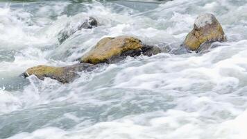 cascada de el montaña río. agua fluido mediante rock en río durante caminata de el Valle de soledad. video