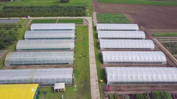 aéreo agrícola Visão do alface Produção campo e estufa. grampo. topo Visão do a estufa video