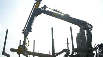 Heavy equipment loading with clipper cut logs. Large log loader and operations in the log yard at a conifer log video